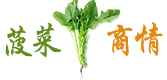 中国菜豆商情网