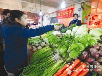 黑叶菠菜市场价格