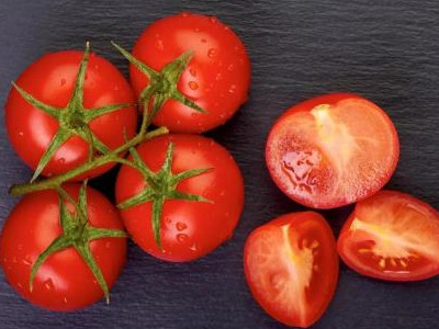 树番茄种子如何育苗视频