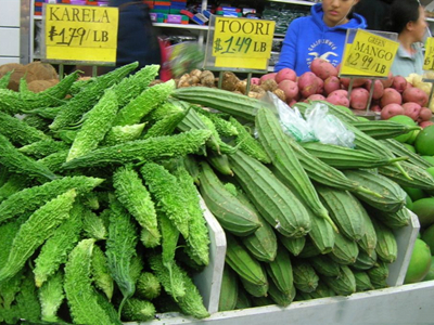 菠菜是双子叶植物吗