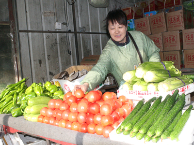 北京小杂60白菜市场价格