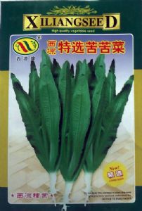 供应西凉特选苦苦菜—野菜种子