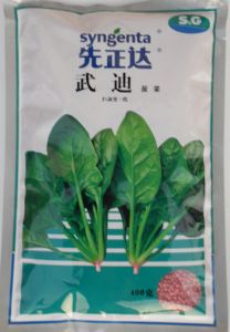 供应武迪菠菜种子