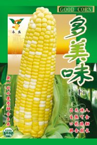 供应多美味—菜用玉米种苗