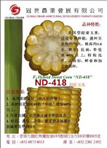 美国型超甜玉米种子：ND－418