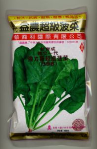 供应全能菠菜—菠菜种子