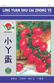 供应小丫蛋——番茄种子