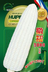 供应徽糯2000—菜用玉米种子