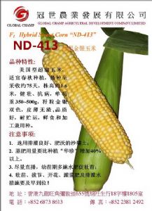 供应美国型（金银粟）甜玉米种子：ND－413