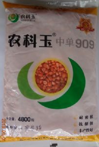 供应农科玉909—玉米种子