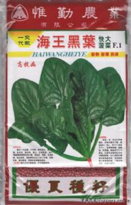 供应海王黑叶—菠菜种子