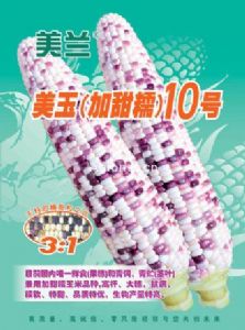 供应美玉（加甜糯）10号—玉米种子