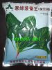 供应寒绿菠菜王(荷兰3号)—菠菜种子