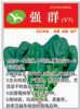 供应强群（V7）——菠菜种子