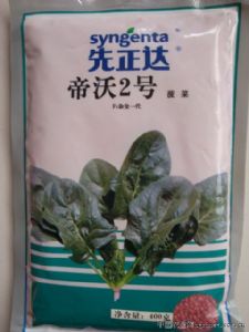 供应原装先正达菠菜帝沃二号—菠菜种子