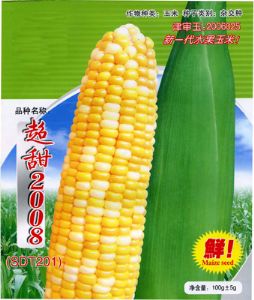 供应超甜2008甜玉米种子—菜用玉米种子