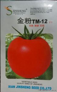 供应金粉-TM12