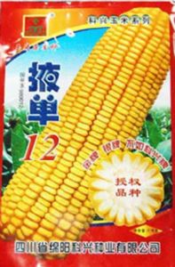 供应先锋33B75—菜用玉米种子